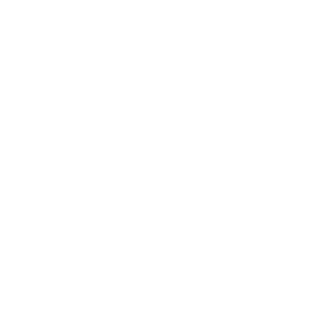 Starasian Agro Overseas logo