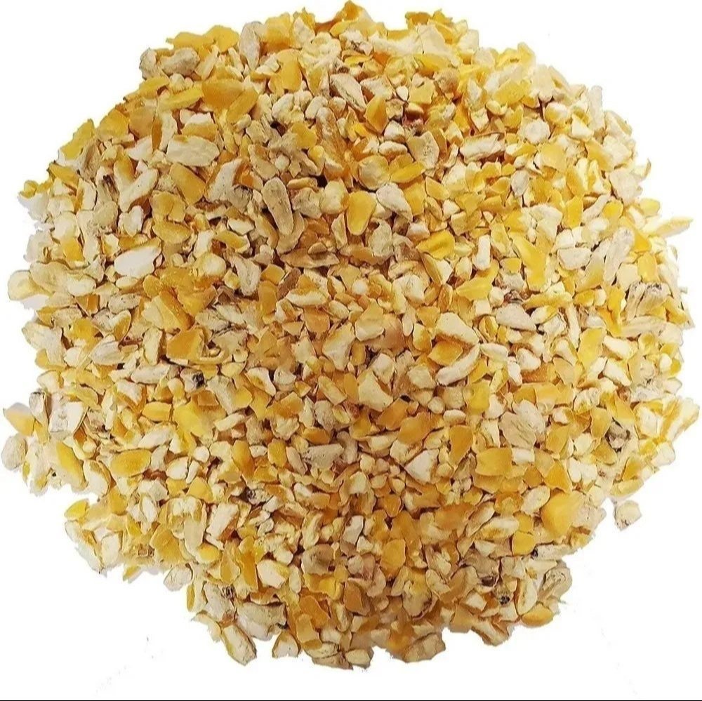 Cattle Feed Maize exported by Starasian Agro Overseas