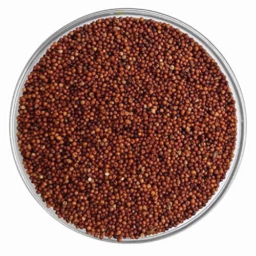 Finger Millet (Ragi) exported by Starasian Agro Overseas