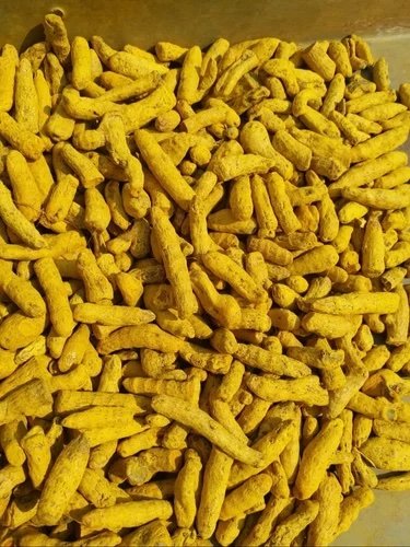 Finger Turmeric exported by Starasian Agro Overseas