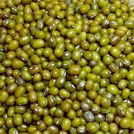 Green Moong exported by Starasian Agro Overseas
