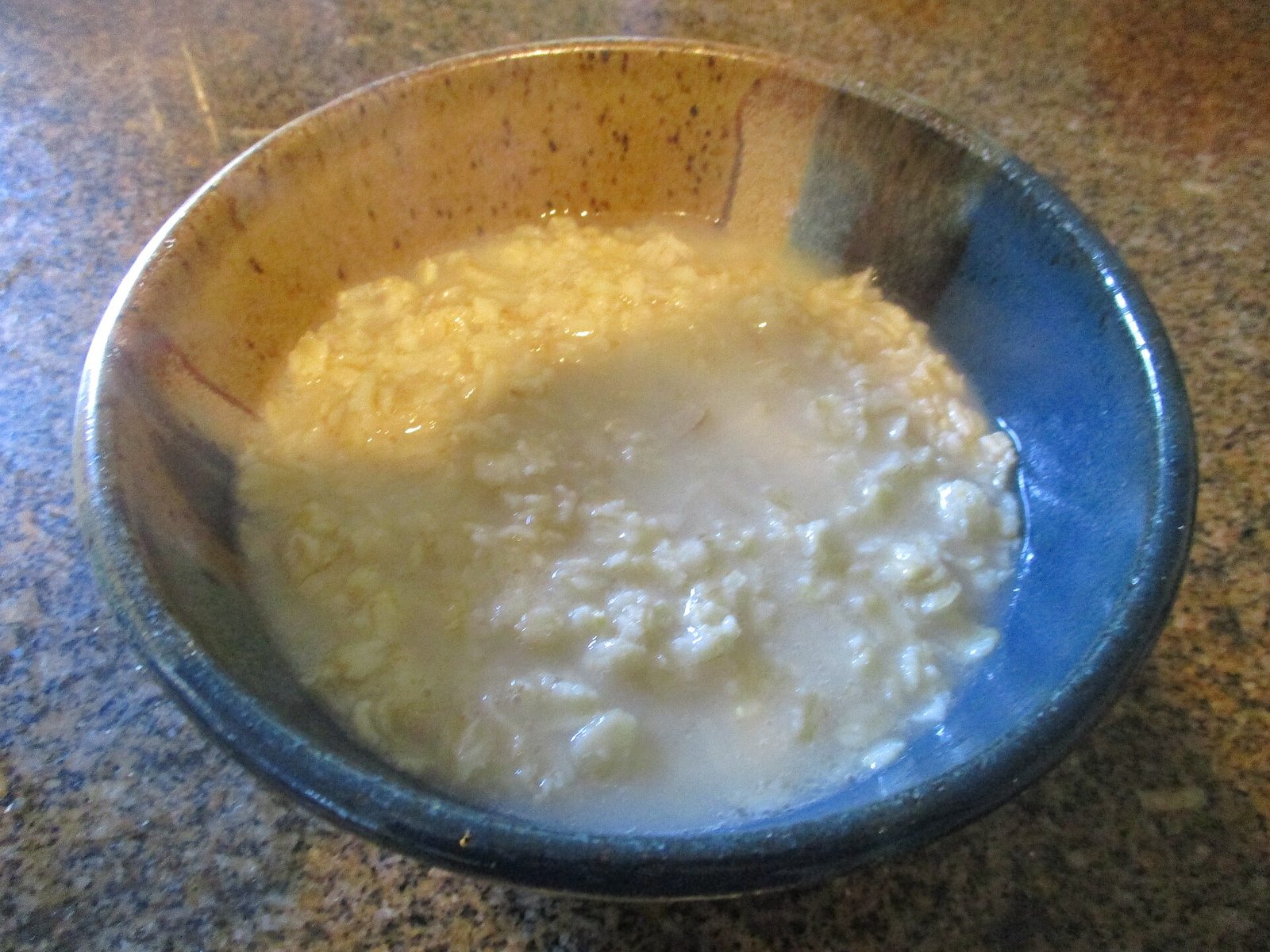 Oats exported by Starasian Agro Overseas