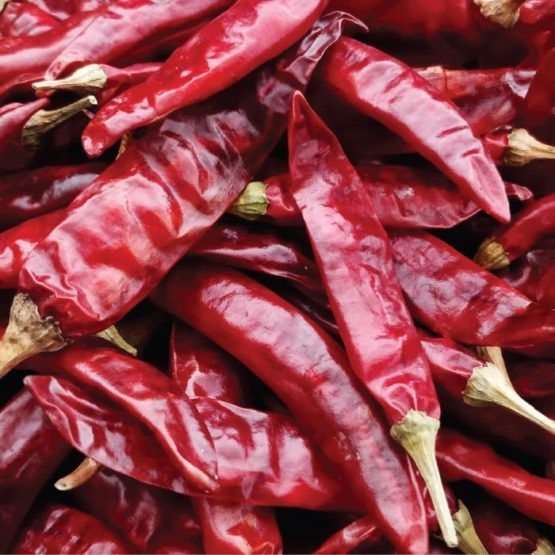 Red Chilli Guntur exported by Starasian Agro Overseas