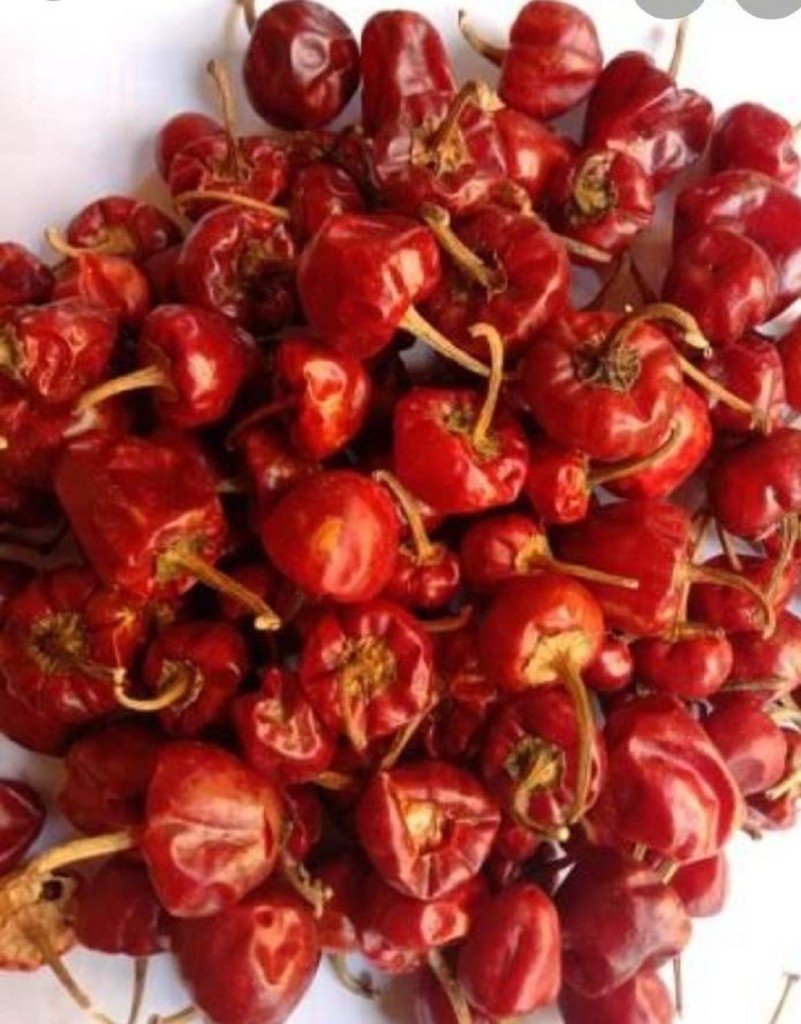 Round Red Chilli exported by Starasian Agro Overseas