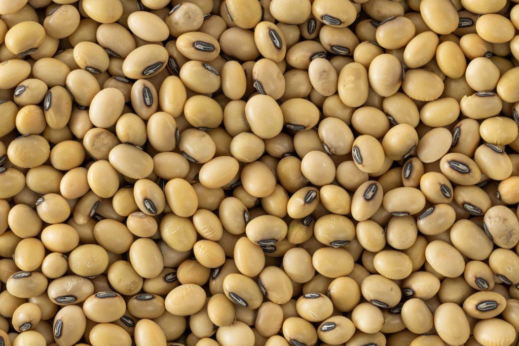 Soyabean exported by Starasian Agro Overseas
