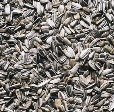 Sunflower Seeds Chatpata (Spicy & Tangy) exported by Starasian Agro Overseas