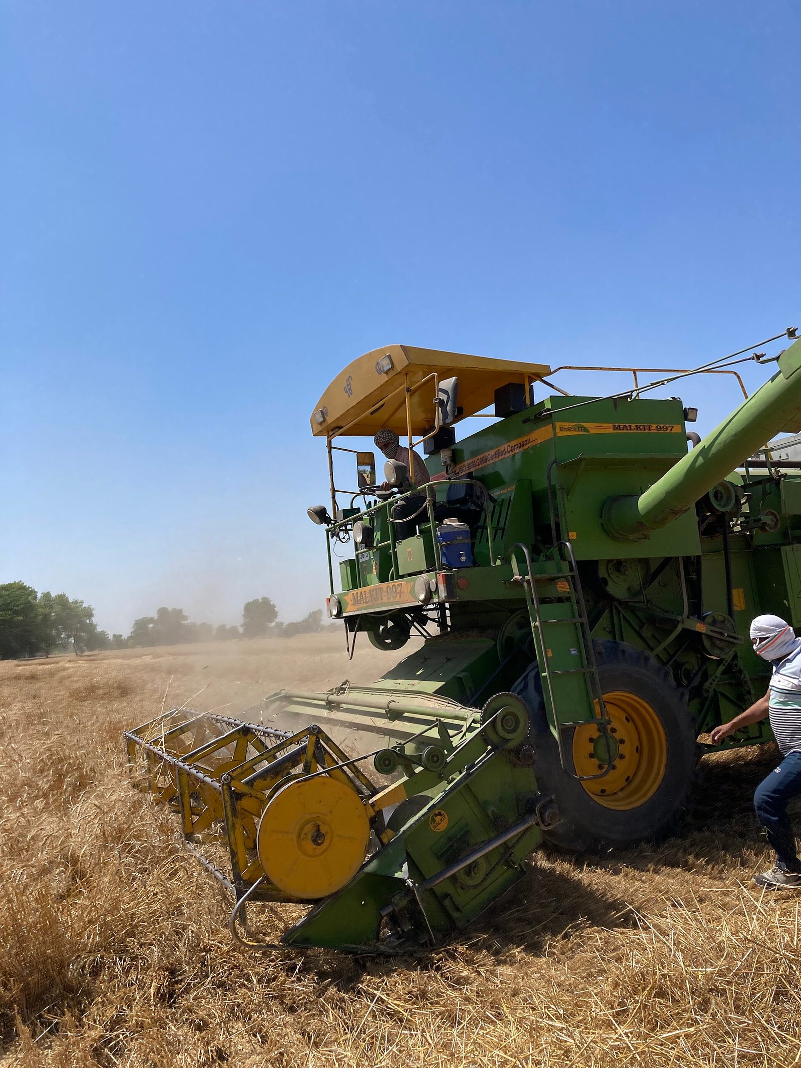 Wheat exported by Starasian Agro Overseas