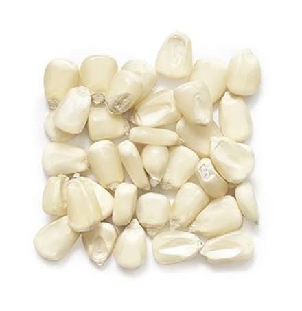White Maize exported by Starasian Agro Overseas