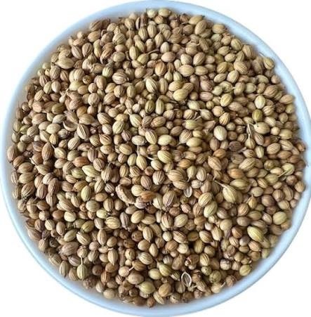 Whole Coriander Eagle exported by Starasian Agro Overseas