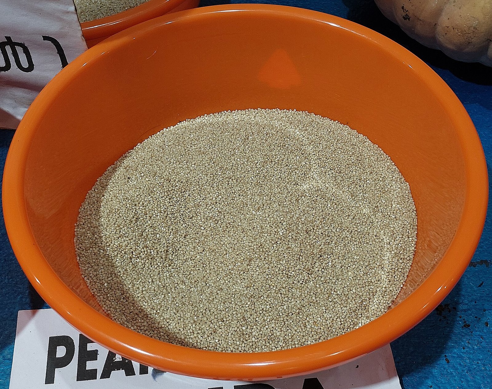Yellow Millet exported by Starasian Agro Overseas